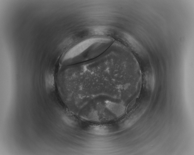X0000111630500200908071414