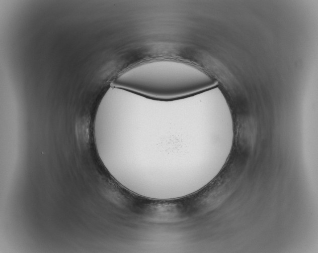 X0000111630501200908071414