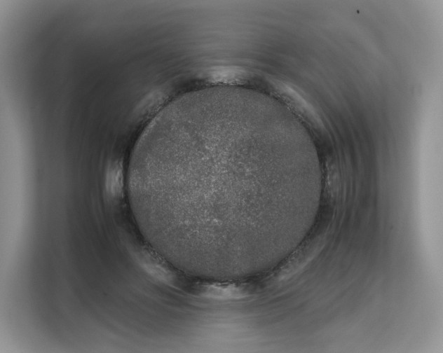 X0000111630502200908071414