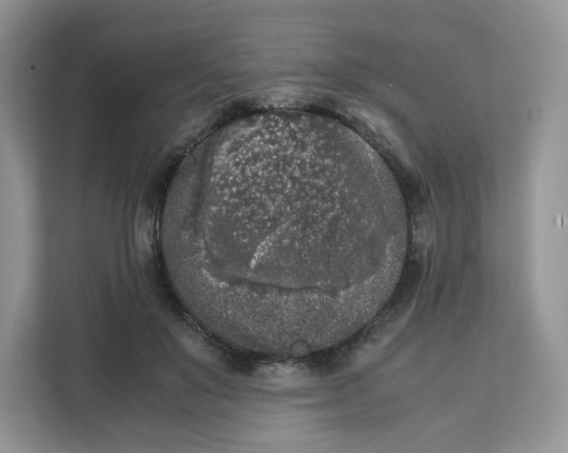 X0000111630503200908071414