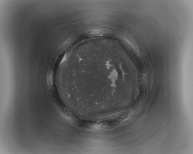 X0000111630504200908071414
