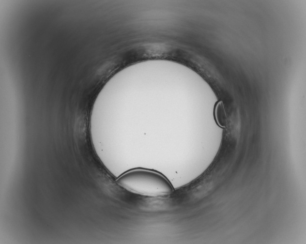 X0000111630505200908071414