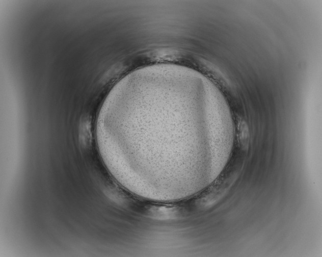 X0000111630506200908071414