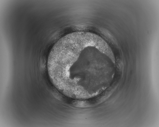 X0000111630507200908071414