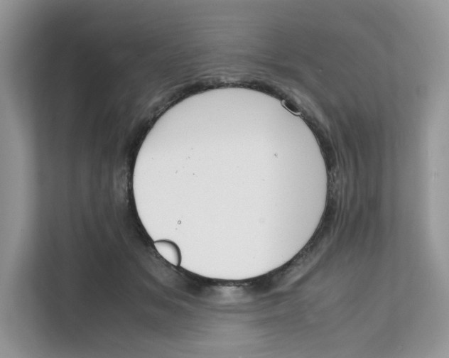 X0000111630509200908071414