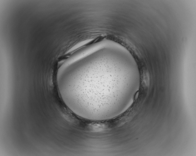 X0000111630512200908071414