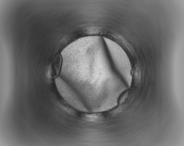 X0000111630516200908071414