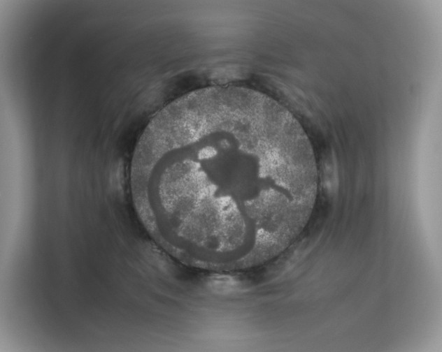 X0000111630519200908071414