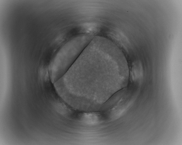 X0000111630520200908071414
