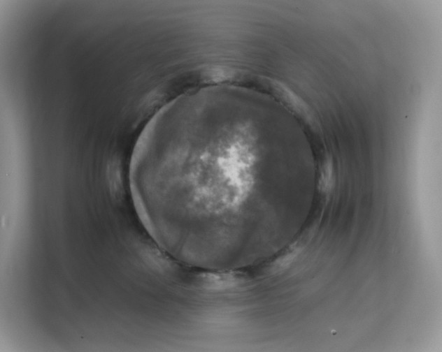 X0000111630524200908071414