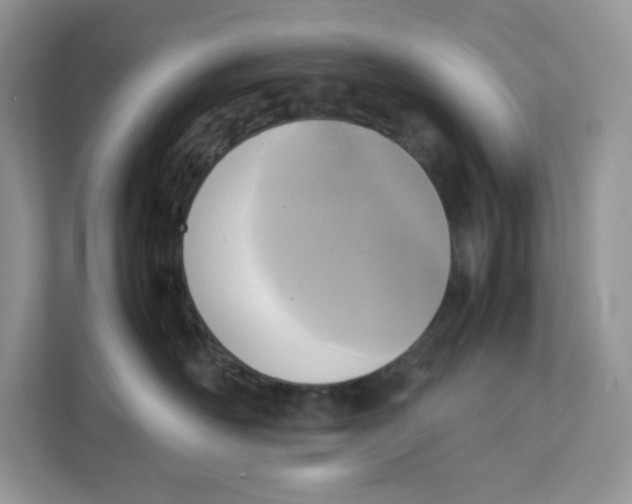 X0000111630526200908071414