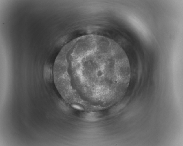 X0000111630527200908071414