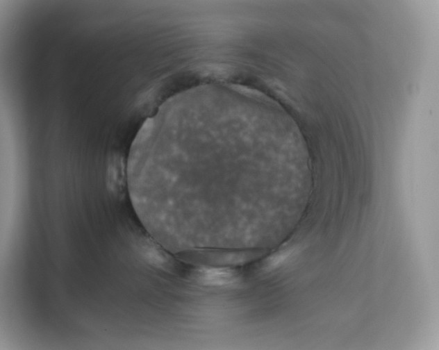 X0000111630528200908071414