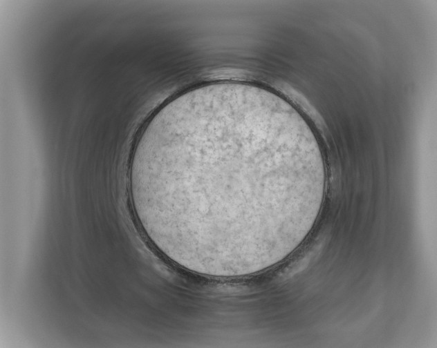 X0000111630529200908071413