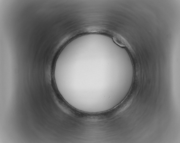 X0000111630530200908071413