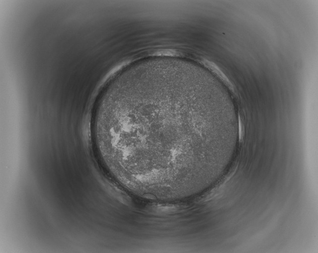X0000111630531200908071413