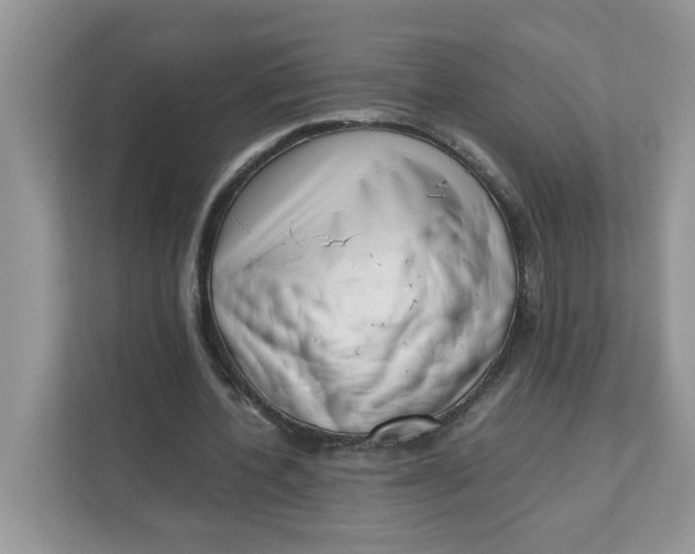 X0000111630532200908071413