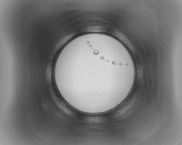 X0000111630533200908071413
