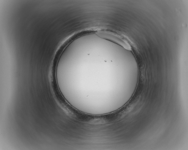 X0000111630536200908071413