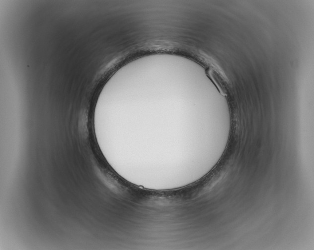 X0000111630538200908071413