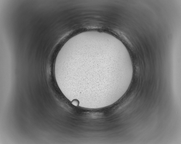 X0000111630539200908071413