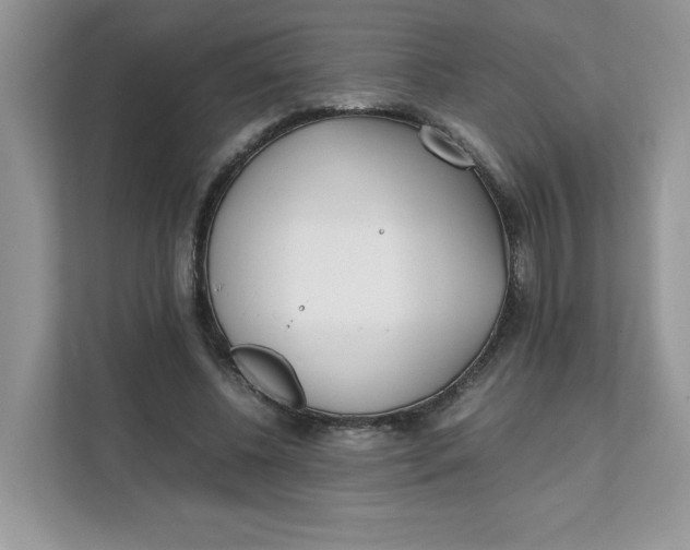 X0000111630540200908071413