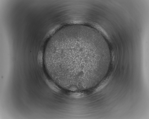 X0000111630542200908071413