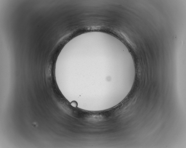 X0000111630543200908071413
