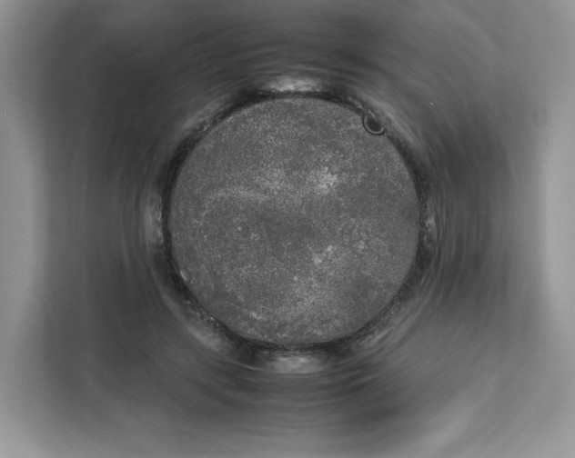 X0000111630547200908071413