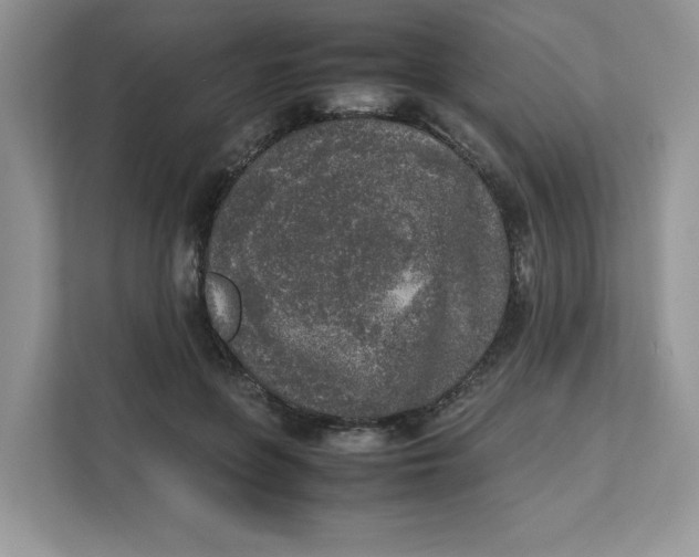 X0000111630551200908071413