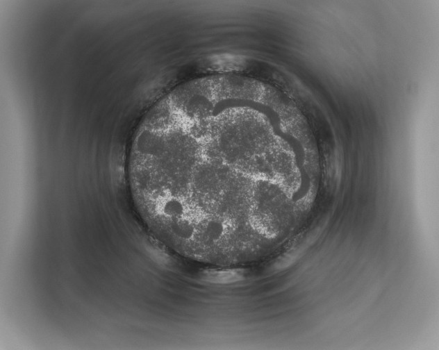 X0000111630553200908071413
