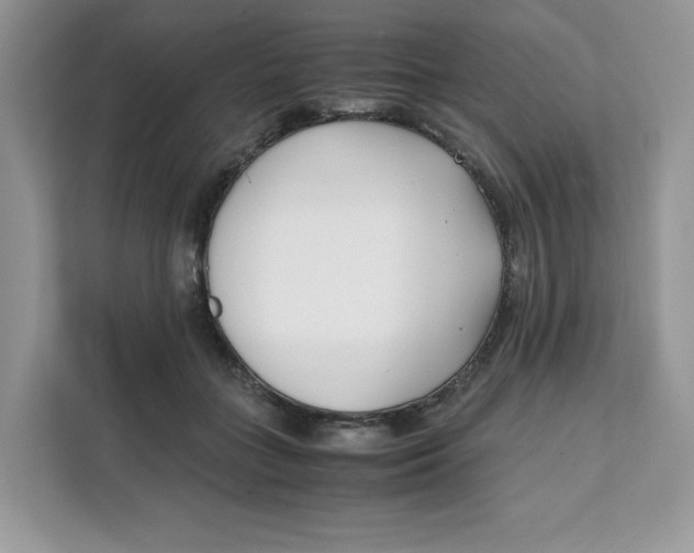 X0000111630555200908071413