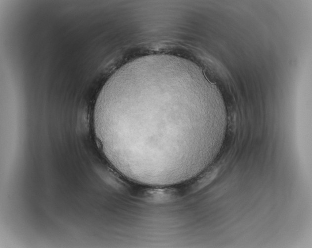 X0000111630558200908071413