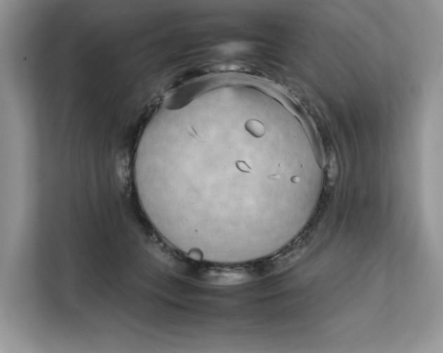 X0000111630559200908071413