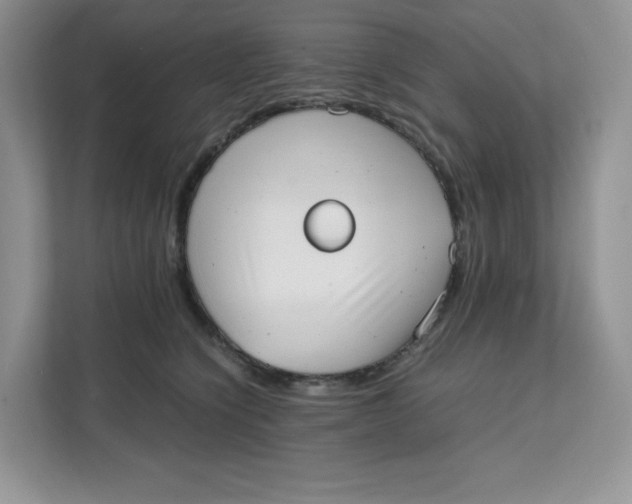 X0000111630564200908071413