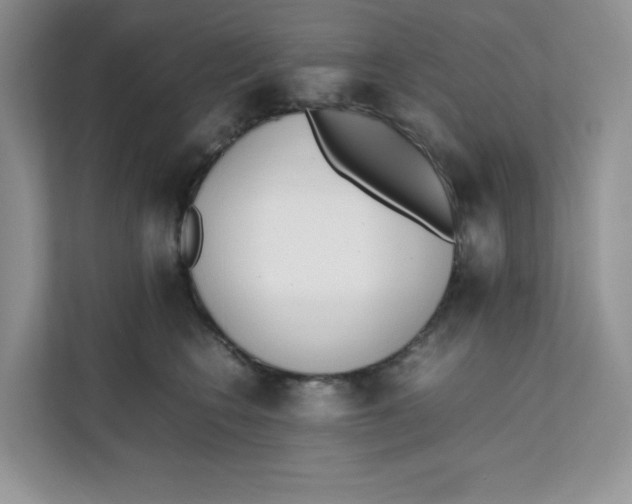 X0000111630566200908071413