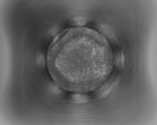 X0000111630568200908071413