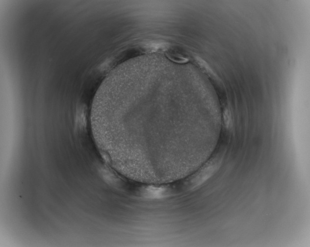 X0000111630570200908071414