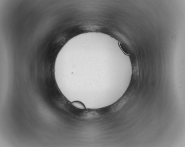 X0000111630572200908071414
