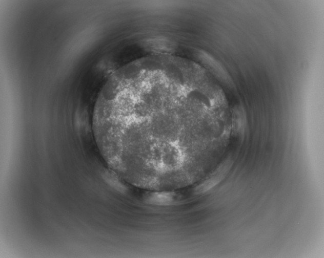 X0000111630573200908071414