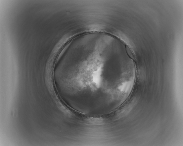 X0000111630577200908071413