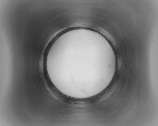 X0000111630580200908071413