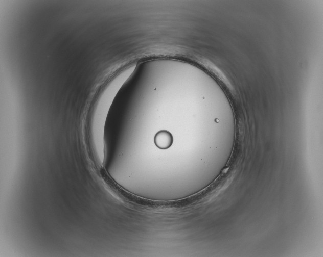 X0000111630581200908071413