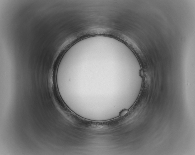 X0000111630582200908071413