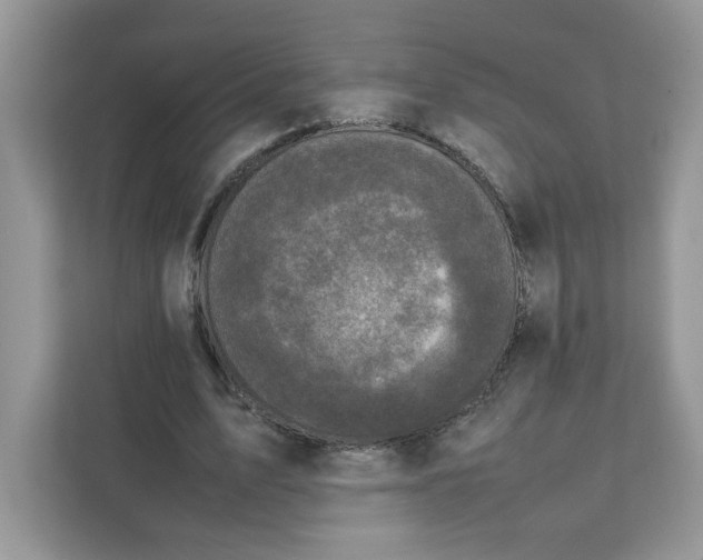 X0000111630583200908071413