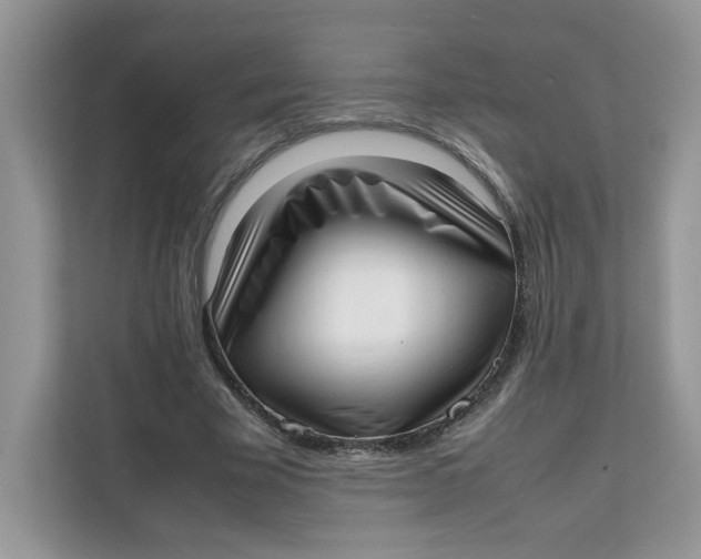 X0000111630585200908071413