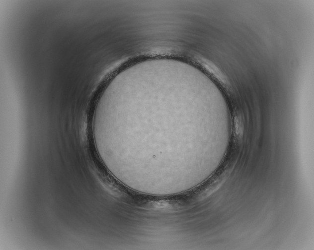 X0000111630588200908071413