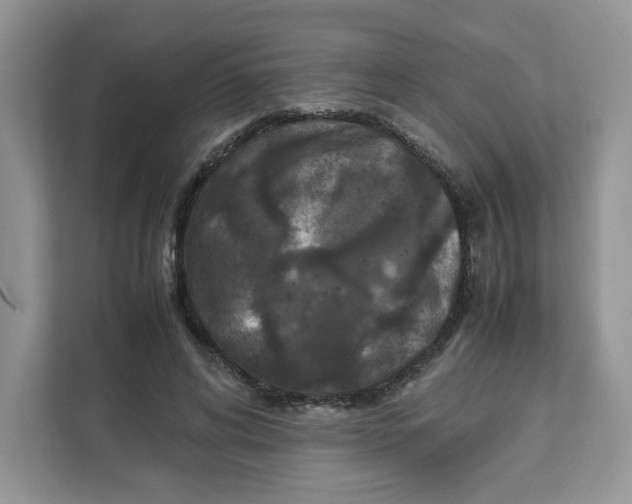 X0000111630592200908071413