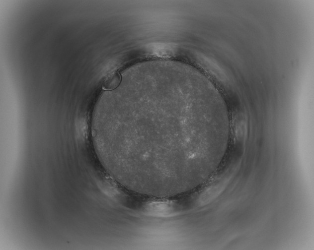 X0000111630595200908071413