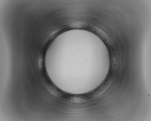 X0000111630596200908071413